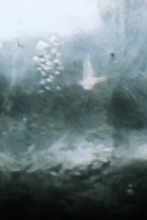 Постер: Snow Movies
