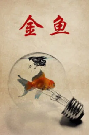 Постер: Goldfish