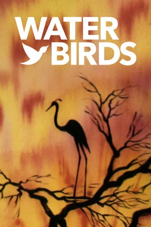Постер: Water Birds