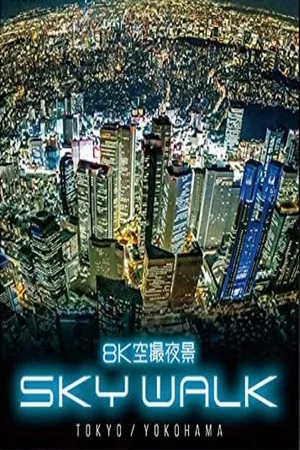 Постер: 8K Aerial Night View:Sky Walk Tokyo and Yokohama