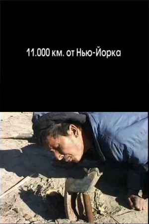 Постер: 11.000 km from New York