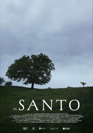 Постер: El santo