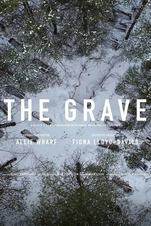 Постер: The Grave