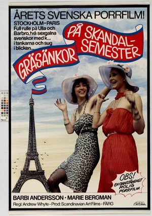 Постер: Crazy Swedish Holidays in Paris