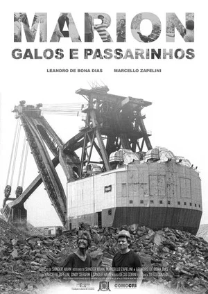 Постер: Marion, Galos e Passarinhos