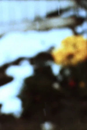 Постер: Quartet (In-Camera)