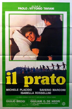 Постер: The Meadow