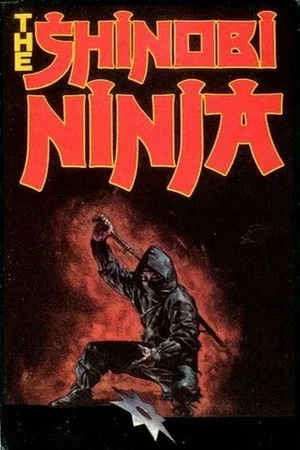 Постер: Чёрный ниндзя