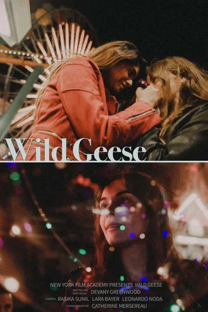Постер: Wild Geese