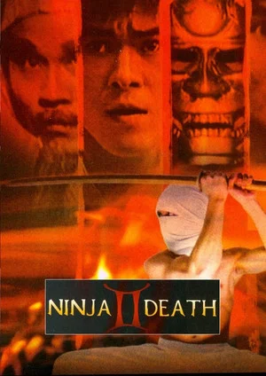 Постер: Ninja Death 2