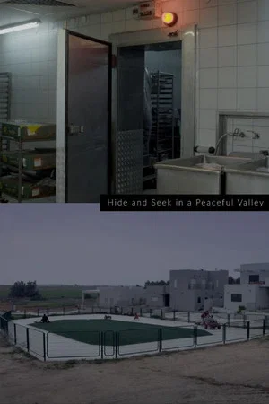 Постер: Hide and Seek in a Peaceful Valley