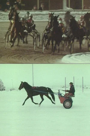 Постер: The Race