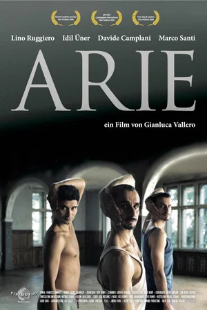 Постер: Arie