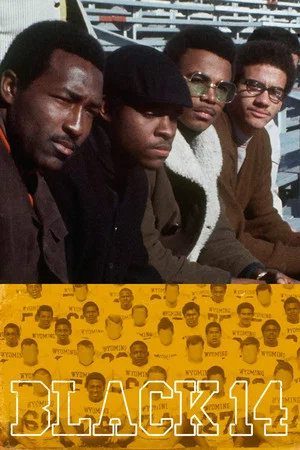 Постер: The Black 14