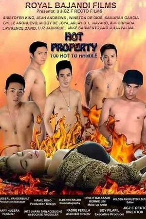 Постер: Hot Property