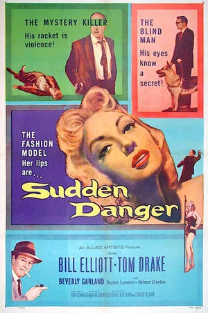Постер: Sudden Danger