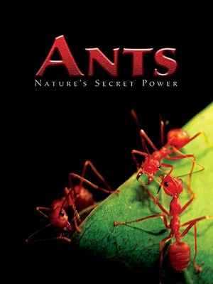 Постер: Ants - Nature's Secret Power