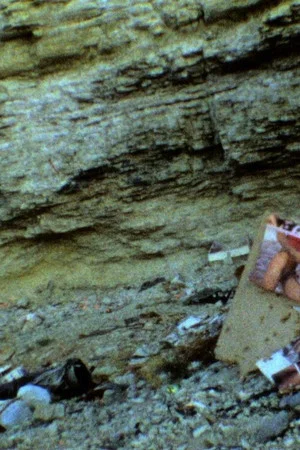Постер: Those Inescapable Slivers of Celluloid