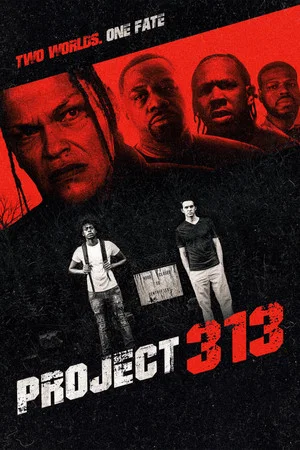 Постер: Project 313