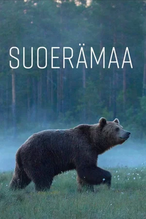 Постер: Suoerämaa