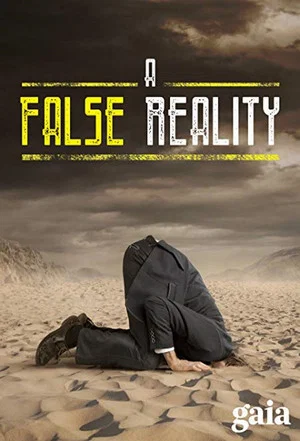 Постер: A False Reality