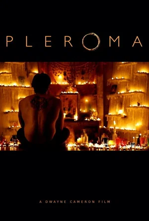 Постер: Pleroma