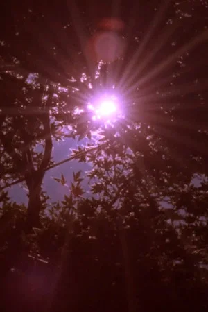 Постер: Fullmoon