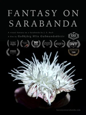 Постер: Fantasy on Sarabanda