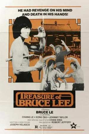 Постер: Treasure of Bruce Le