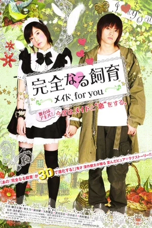 Постер: Perfect Education: A Maid for You