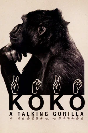 Постер: Koko: A Talking Gorilla