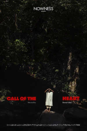 Постер: Call of the Heart