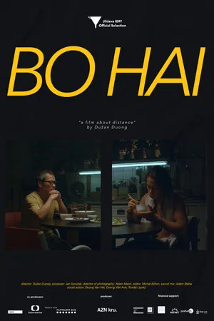 Постер: Bo Hai