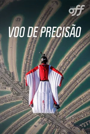 Постер: Voo De Precisão