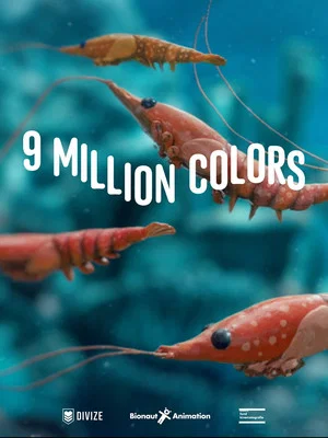 Постер: 9 Million Colors