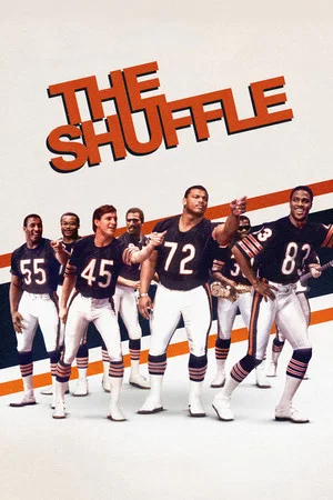 Постер: The Shuffle