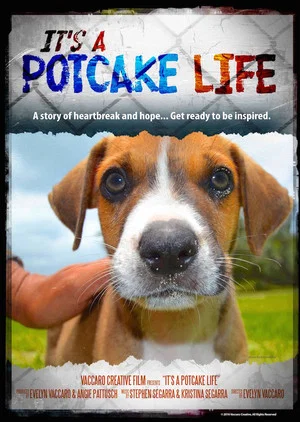 Постер: It's a Potcake Life