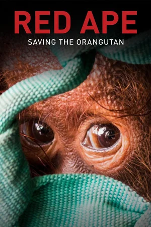 Постер: Red Ape: Saving the Orangutan