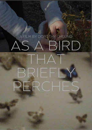 Постер: as a bird that briefly perches