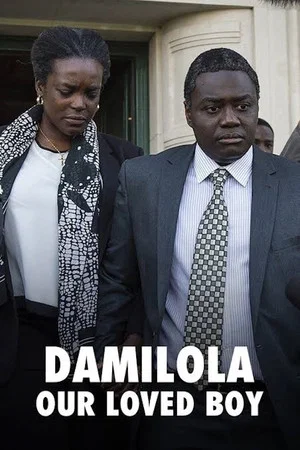 Постер: Damilola, Our Loved Boy