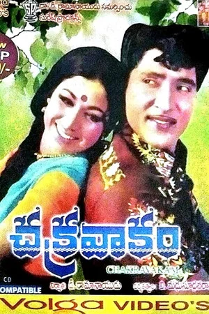 Постер: Chakravakam