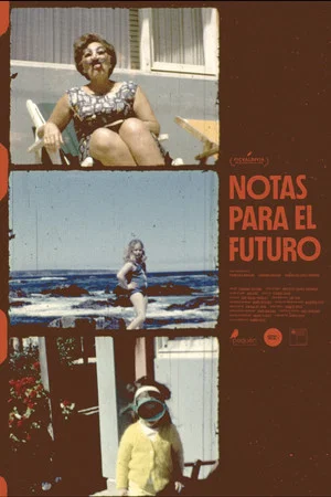 Постер: Notes for the future