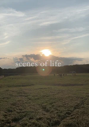 Постер: scenes of life
