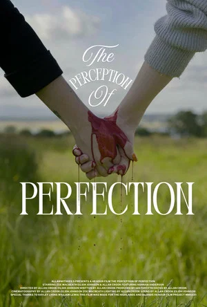 Постер: The Perception of Perfection