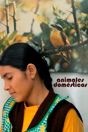 Постер: Animales Domésticos