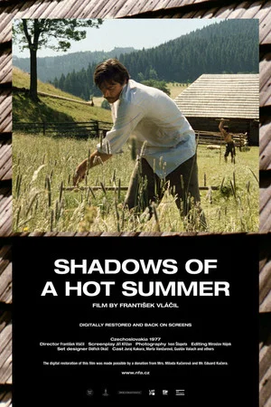 Постер: Shadows of a Hot Summer