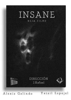 Постер: Insane