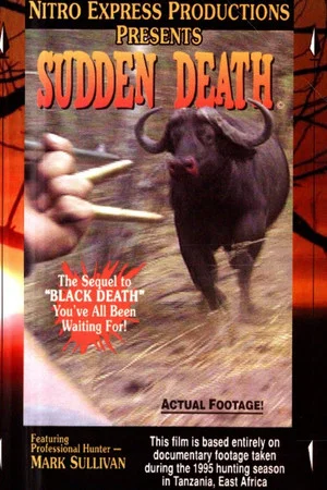 Постер: Sudden Death