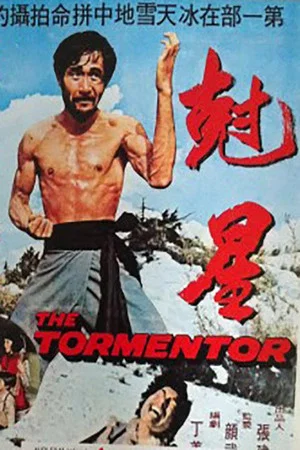 Постер: The Tormentor