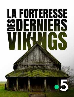 Постер: Viking City of the Dead